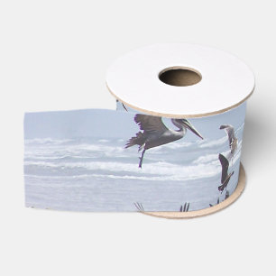 Pelikan-Vogel-Strand-wild lebende Ripsband