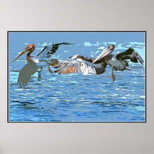Pelikan-Vogel-Tier-Tiere Poster