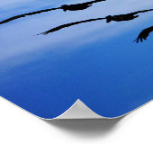 Pelikancluster IV Poster (Ecke)