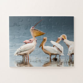 Pelikane am See Puzzle