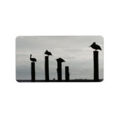 Pelikane am Steg Adressaufkleber (Vorne)