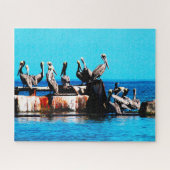 Pelikane am Ufer, Jigsaw Puzzle (Horizontal)