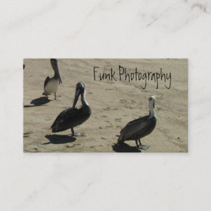 Pelikane auf dem Strand Visitenkarte