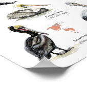 Pelikane auf dem Weltposter Poster (Ecke)