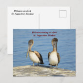 Pelikane auf Dock Feiertagspostkarte (Vorne/Hinten)