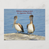 Pelikane auf Dock Feiertagspostkarte (Vorderseite)