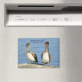 Pelikane auf Dock Magnet (In Situ (Geschirrspüler))