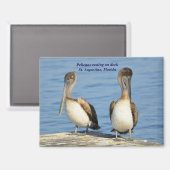 Pelikane auf Dock Magnet (Vorderseite/Rückseite)