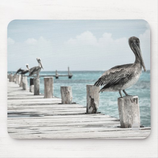 Pelikane auf Dock Mouse Pad HAMbyWG Mousepad (Vorne)