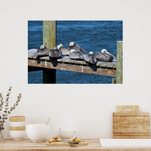 Pelikane auf einem Dock Poster (Küche)