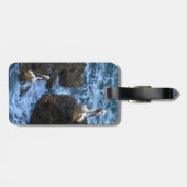 Pelikane auf Meeresgesteinen, Gepäckanhänger (Rückseite horizontal)