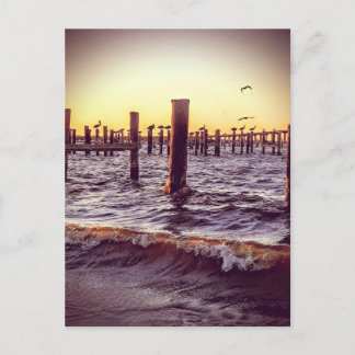 Pelikane bei Sonnenuntergang über der Bucht Postkarte