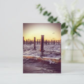 Pelikane bei Sonnenuntergang über der Bucht Postkarte (Stehend Vorderseite)