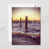 Pelikane bei Sonnenuntergang über der Bucht Postkarte (Vorne/Hinten)