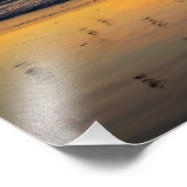 Pelikane bei Sunset - Venice Beach, CA Fotodruck (Ecke)