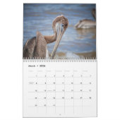 Pelikane Bird 2025 Kalender (Mär 2026)