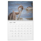 Pelikane Bird 2025 Kalender (Mär 2027)