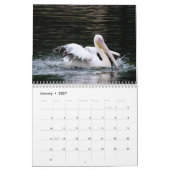 Pelikane Bird 2025 Kalender (Jan 2027)