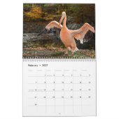 Pelikane Bird 2025 Kalender (Feb 2027)