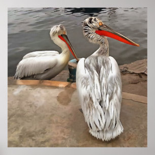 Pelikane - Das graue Twins künstlerisches Portrait Poster