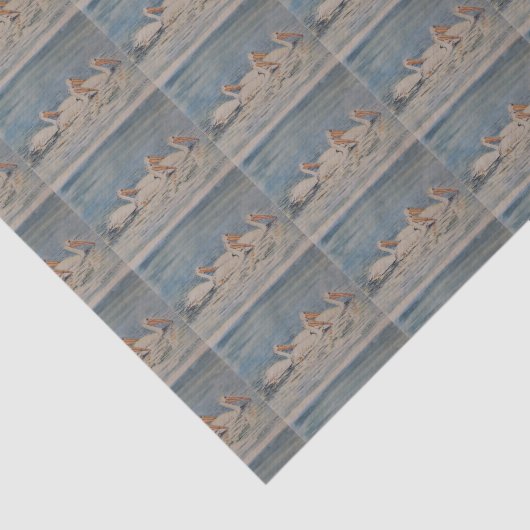 Pelikane, die auf ruhigem Wasser schwimmen Seidenpapier (Ausschnitt)