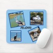 Pelikane, die weltweit Coolsten Vogel-Vier-Fotorah Mousepad (Mit Mouse)
