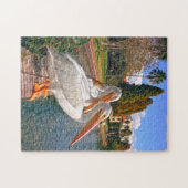Pelikane Floridas. Puzzle (Horizontal)