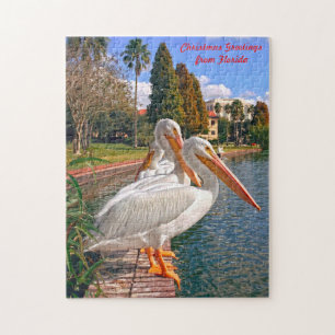 Pelikane Floridas. Puzzle