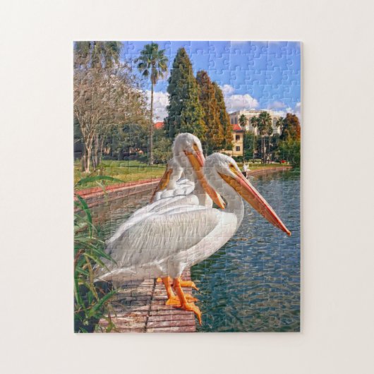 Pelikane Floridas. Puzzle (Vertikal)