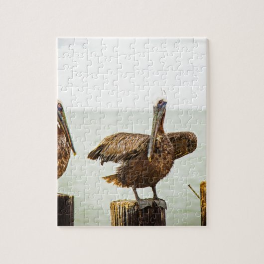 Pelikane gehockt auf Posten Puzzle (Vertikal)
