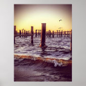 Pelikane in der Bucht Poster (Vorne)