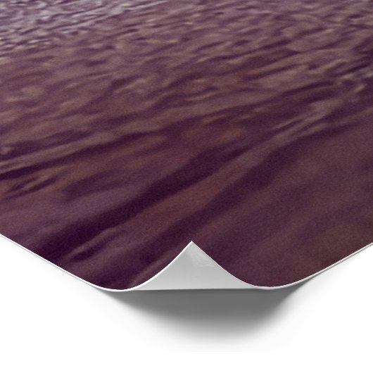 Pelikane in der Bucht Poster (Ecke)