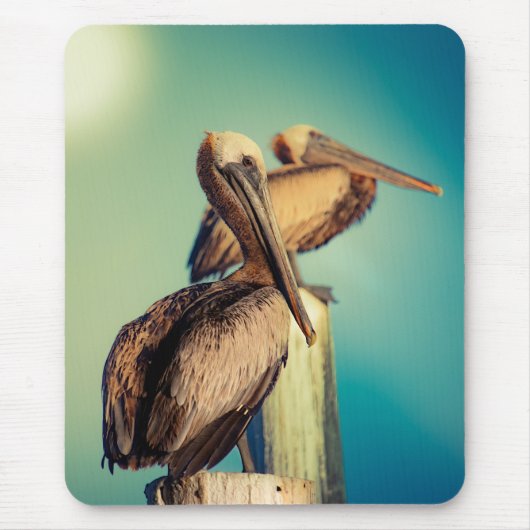 Pelikane in der Morgendämmerung Mousepad (Vorne)