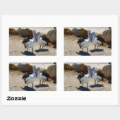 Pelikane in Liebe, Rechteckiger Aufkleber (Blatt)