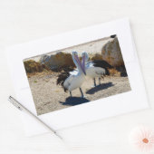 Pelikane in Liebe, Rechteckiger Aufkleber (Umschlag)