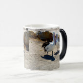 Pelikane in Liebe, Verwandlungstasse (VorderseiteRechts)