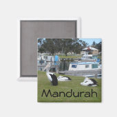 Pelikane in Mandurah Magnet (Vorderseite/Rückseite)