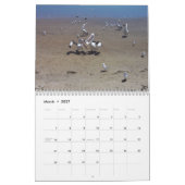 Pelikane Kalender (Mär 2027)