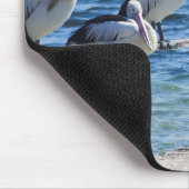 Pelikane Mousepad (Ecke)