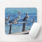 Pelikane Mousepad (Mit Mouse)