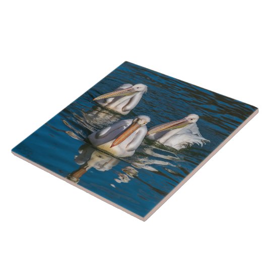 Pelikane nahe Keramik Fliese (Seite)