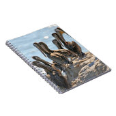 Pelikane Notizblock (Rechte Seite)