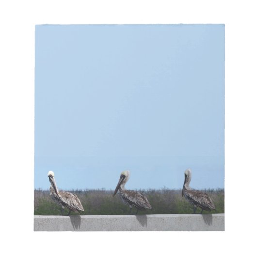 Pelikane Notizblock (Vorderseite)