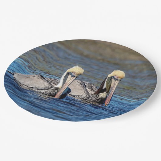 Pelikane Pappteller (Schrägansicht)