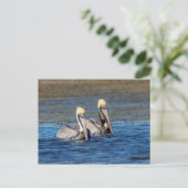 Pelikane Postkarte (Stehend Vorderseite)