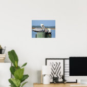 Pelikane ruhen auf einer Säule Poster (Heimbüro)