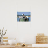 Pelikane ruhen auf einer Säule Poster (Küche)