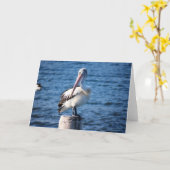 Pelikane Seevögel Ozeane Großvögel Federn Karte (Gelbe Blume)