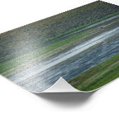 Pelikane treten den Gänsen bei Fotodruck (Ecke)