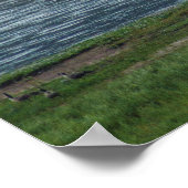 Pelikane treten den Gänsen bei Poster (Ecke)